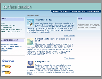 Screenshot of the Surface Tension Module