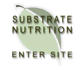 Enter Site